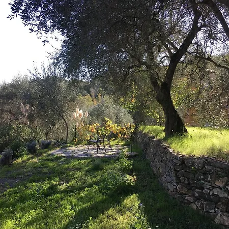 Romantisches Oliva *