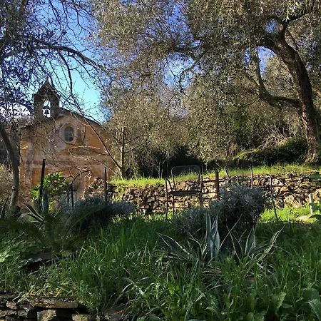Romantisches Oliva *