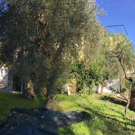 Apartman Romantisches Oliva