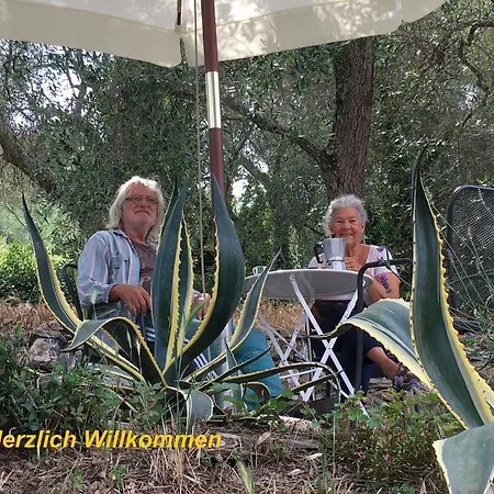 Romantisches Oliva * Dolcedo